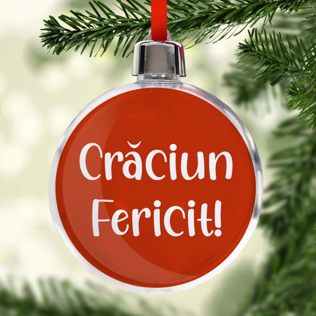 Glob de Craciun personalizat cu Nasterea lui Hristos 3