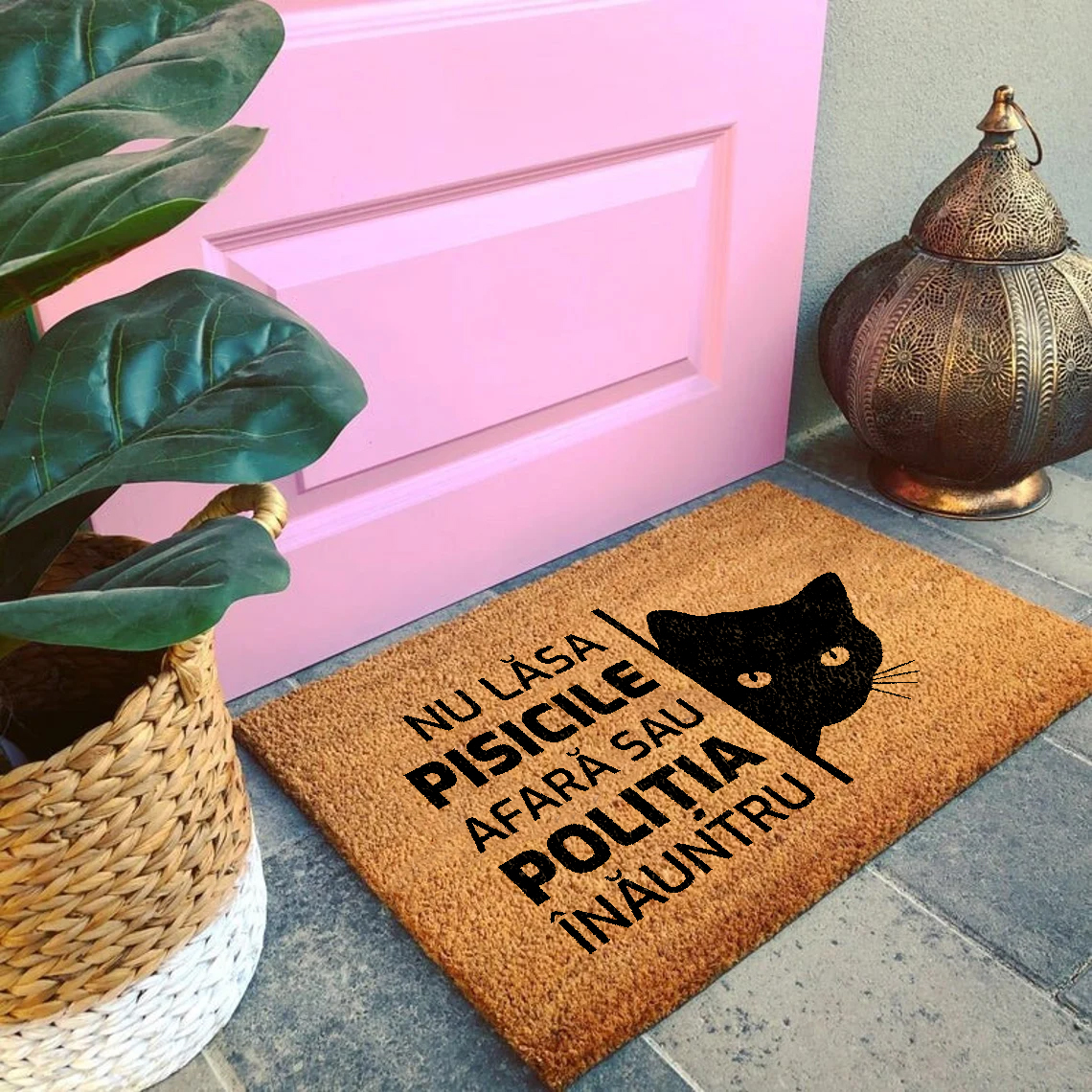 Covoras intrare cu pisica - Nu lasa pisicile afara sau politia inauntru
